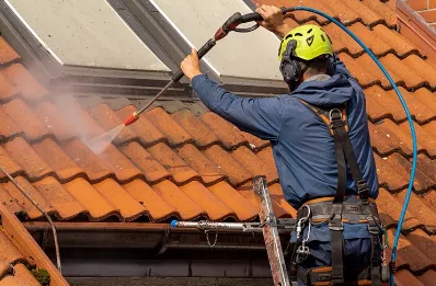Démoussage et hydrofuge de toiture à Doissin